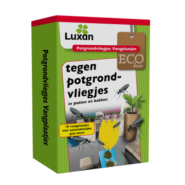 Luxan Potgrondvliegjes Vangplaatjes 10 st