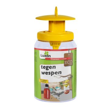 Wespenpot + Lokstof 250 ml